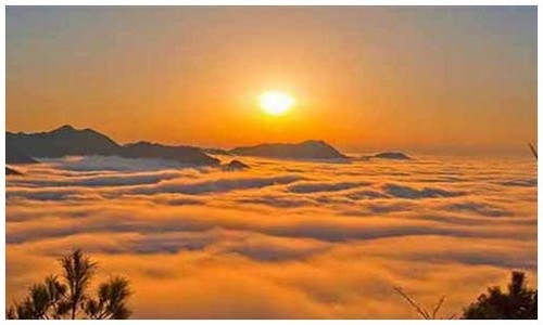 2026最新龙岛异兽安装方法官网入口在哪，附安装失败解决办法